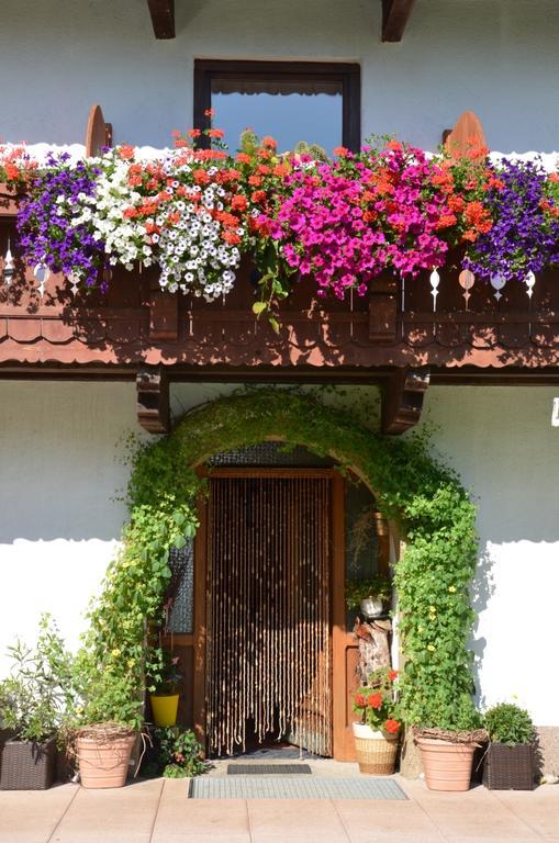 Hinterankerwald Apartment Walchsee Exterior foto