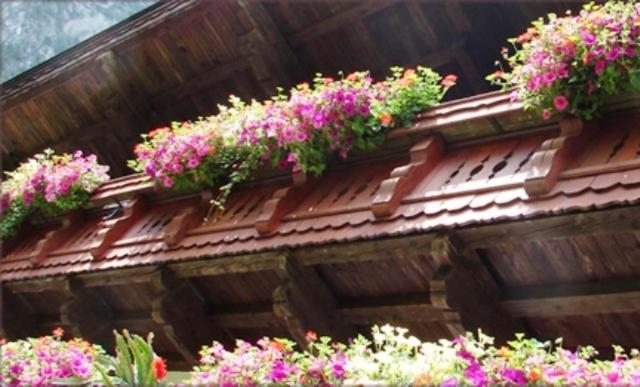 Hinterankerwald Apartment Walchsee Exterior foto