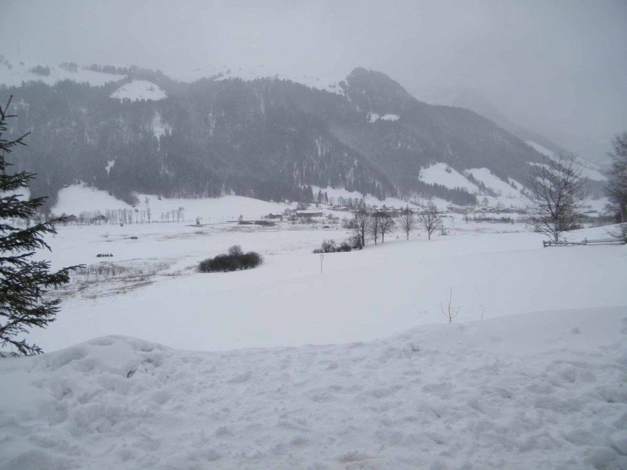Hinterankerwald Apartment Walchsee Exterior foto